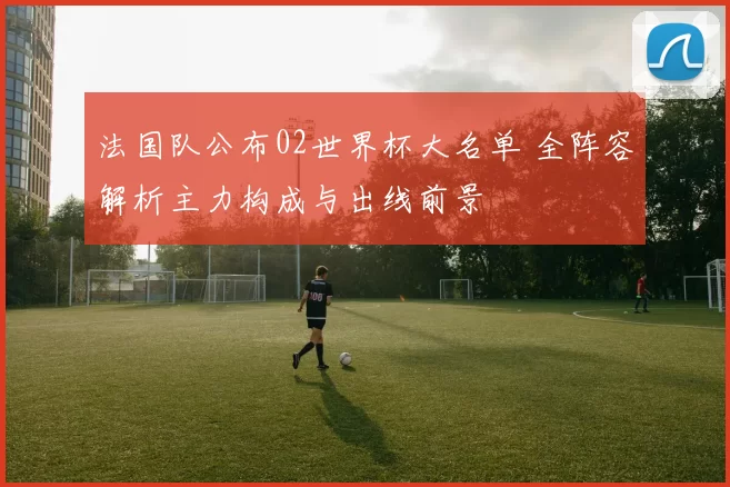 法国队公布02世界杯大名单 全阵容解析主力构成与出线前景