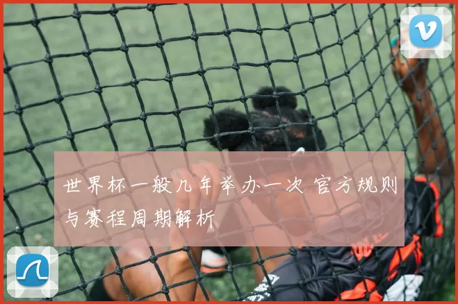 世界杯一般几年举办一次 官方规则与赛程周期解析