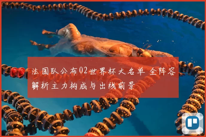 法国队公布02世界杯大名单 全阵容解析主力构成与出线前景